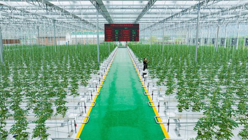 农业技术开发：避开常见误区
